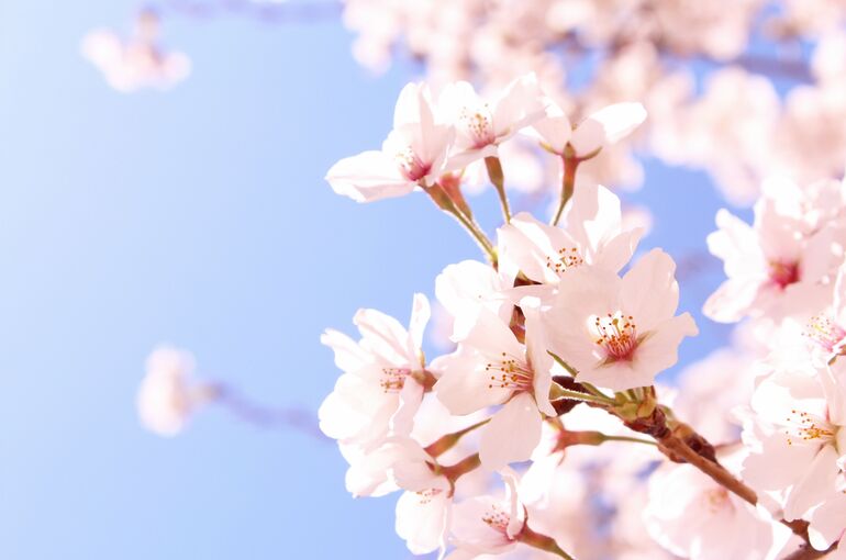 AdobeStock_234614039